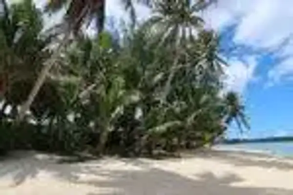 Jetstar NZ One Way Friday Frenzy: Domestic Fares from $30, Rarotonga from $169 - Until 8pm Tonight! - from Australia promotional image