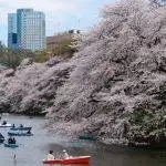 Auckland to Tokyo, Japan from $934 Return [Sep-Oct, Jan-Mar] on Japan Airlines & Malaysia Airlines