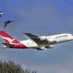 500 Bonus Qantas Points on Top of Any $100+ Purchase Made by Shopping through The Points Prompter