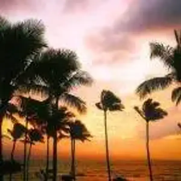 Honolulu, Hawaii Return Ex Auckland from $875, Christchurch $910 [Mar-Feb] on Fiji Airways - from Auckland promotional image