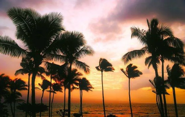 Hawaii from Sydney from $476 Return, Other Cities from $763 Return