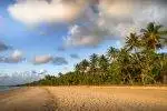 Qantas: Up to 50% off Return Economy Flights to Queensland for 2 or More People