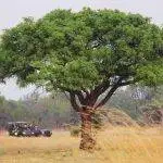 Singapore Airlines: Johannesburg, South Africa Return Ex Auckland $1650, Christchurch $1893 [Jul-Mar]