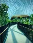 'Skytrax Awards 2024: The World's Top 10 Airports Unveiled