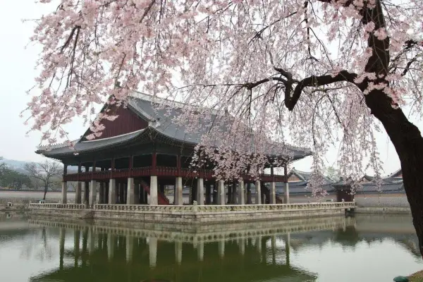 China Eastern Flights from Auckland to Seoul, South Korea from $864 Return [May & June Dates] - from Auckland promotional image