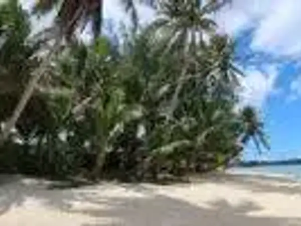 Jetstar NZ One Way Friday Frenzy: Domestic Fares from $30, Rarotonga from $169 - Until 8pm Tonight! - from Australia promotional image