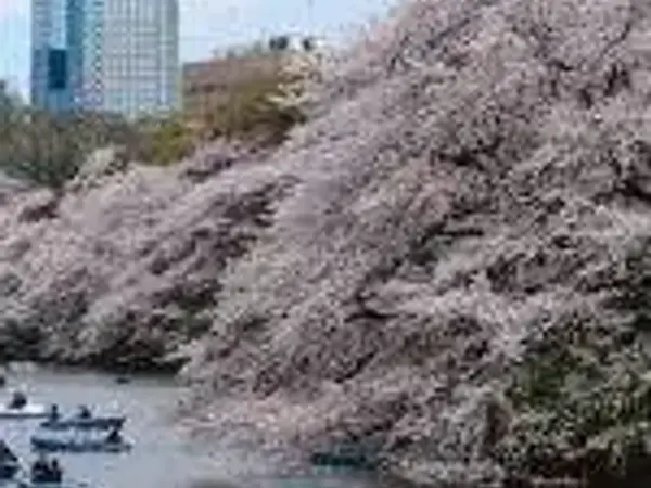 Singapore Airlines Return to Tokyo, Japan from  $717 Return (Various Dates) - from Return promotional image