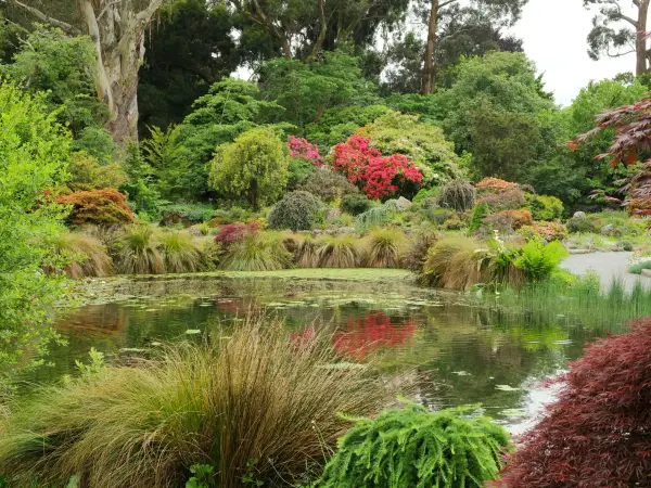 Jetstar Perth to Christchurch from $315 One Way or $567 Return - Sale Ends Tonight