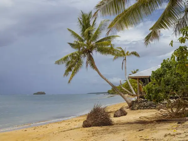 Apia, Samoa from Auckland $499 Return, Christchurch $514 Return, Wellington $538 Return on Fiji Airways - from Auckland promotional image