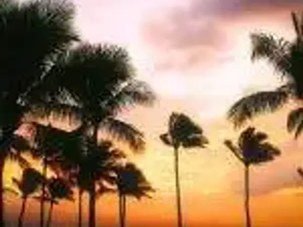 Honolulu, Hawaii Return Ex Auckland from $802, Christchurch $829, Wellington $848 [Feb-Dec] on Fiji Airways - from Auckland promotional image