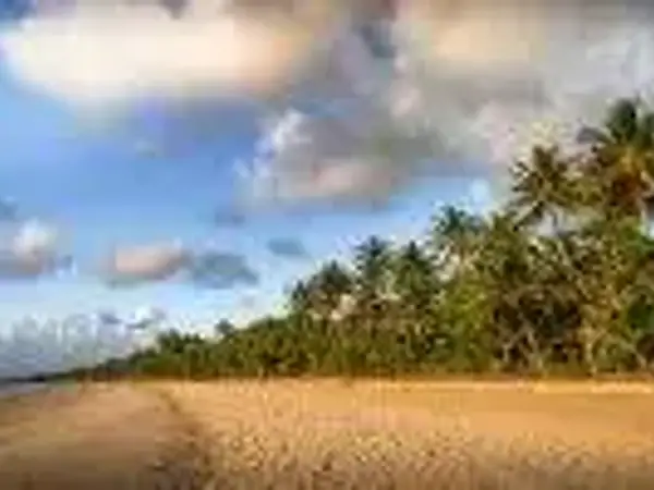 Qantas: Up to 50% off Return Economy Flights to Queensland for 2 or More People