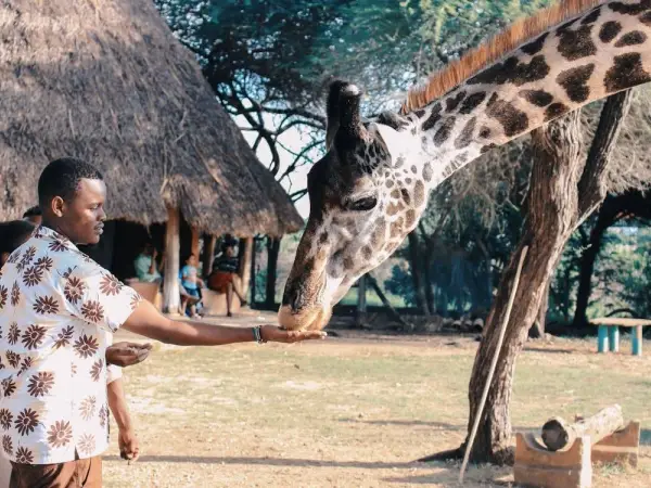 Air Asia to Nairobi, Kenya from Perth $889 Return, Melbourne $1085 Return and Sydney $1156 Return (Oct-Mar) - from Asia promotional image