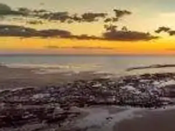 Flights and Jobs Take Off in the Top End With New Jet Base in Darwin