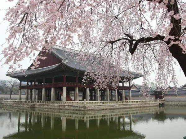 Seoul, South Korea on China Southern Airlines ex Auckland $960 Return [Mar-Jun] - from Auckland promotional image