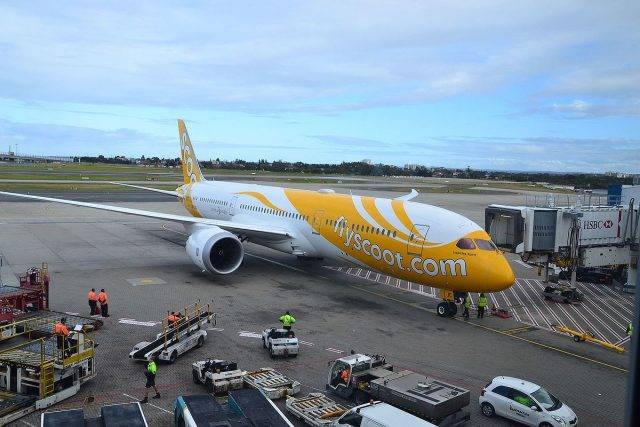 Scoot Dreamliner