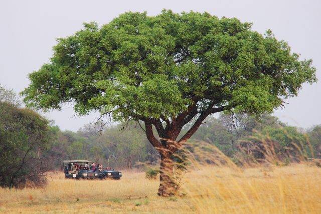 On Safari in South Africa