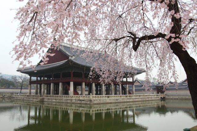 China Eastern Flights from Auckland to Seoul, South Korea from $864 Return [May & June Dates]
