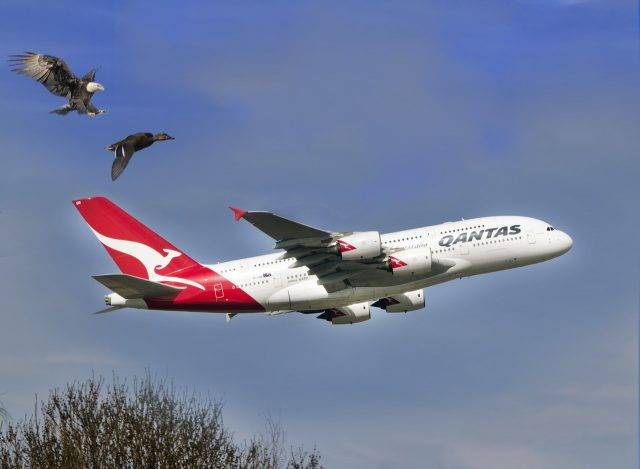 Qantas plane