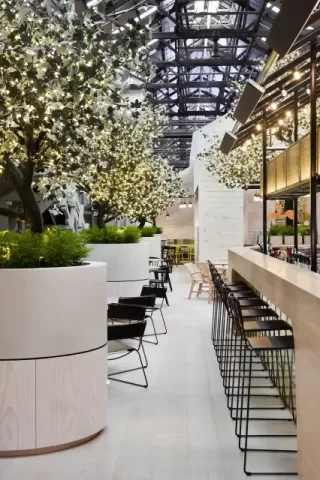 Ovolo Woollomoloo